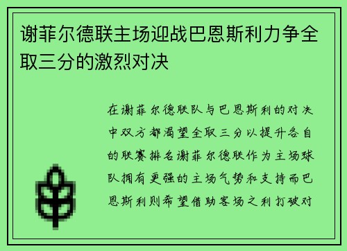 谢菲尔德联主场迎战巴恩斯利力争全取三分的激烈对决